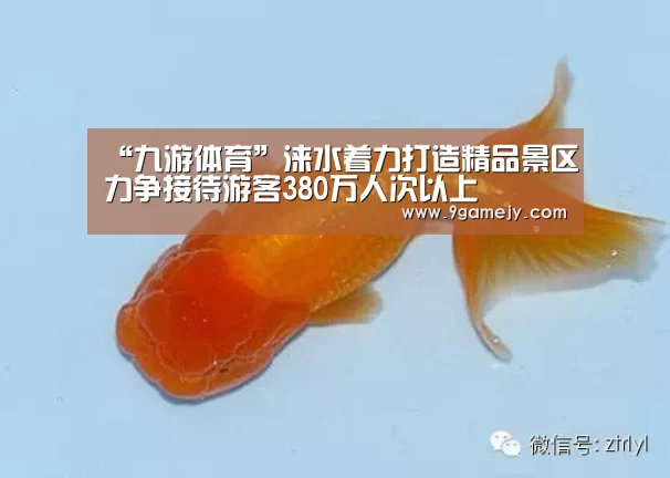 九游体育