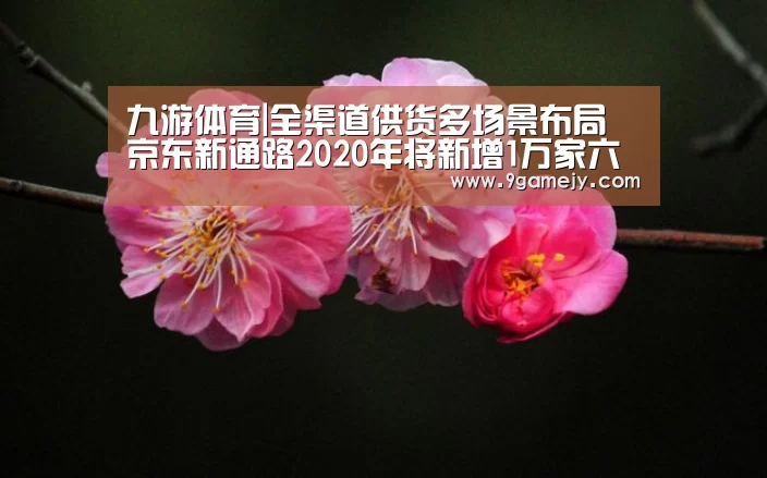 九游体育