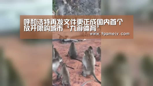 九游体育