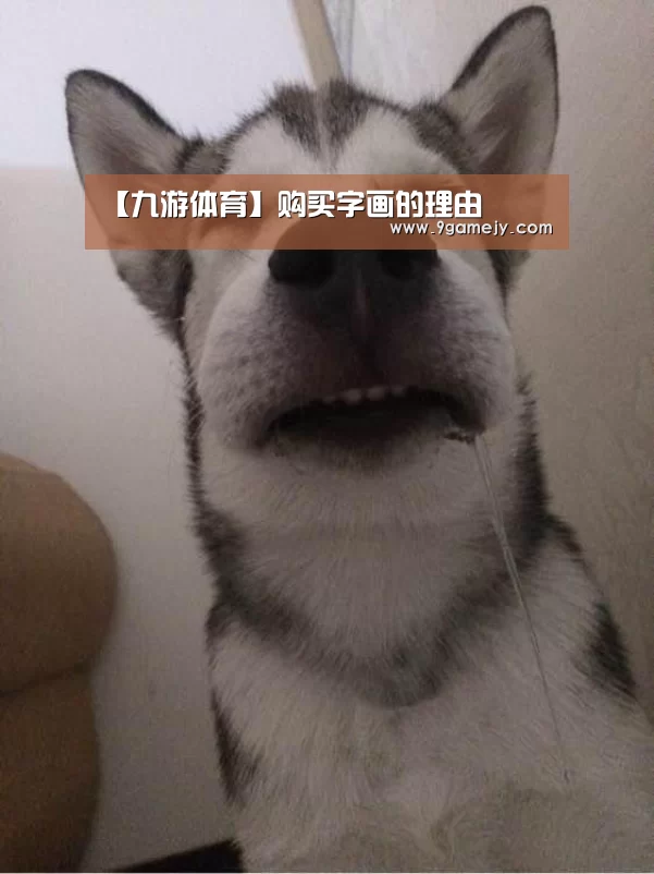 【九游体育】购买字画的理由(图1) 九游体育