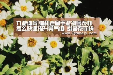 九游体育|猫和老鼠手游剑客泰菲怎么快速提升勇气值 剑客泰菲快速积攒勇气(图1) 九游体育