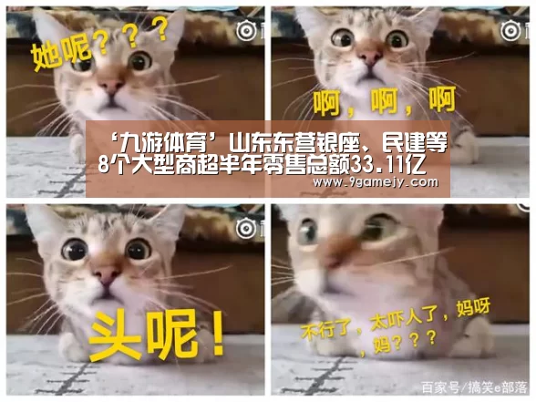 ‘九游体育’山东东营银座、民建等8个大型商超半年零售总额33.11亿(图1) 九游体育