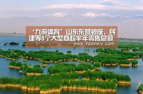 ‘九游体育’山东东营银座、民建等8个大型商超半年零售总额33.11亿(图2) 九游体育
