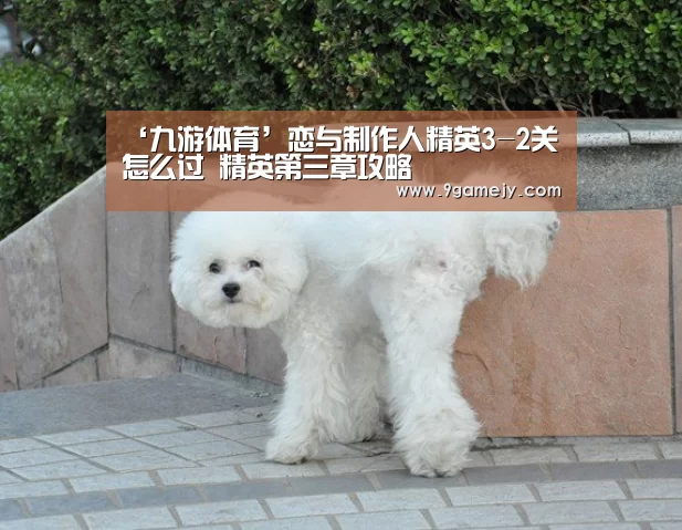 ‘九游体育’恋与制作人精英3-2关怎么过 精英第三章攻略(图4) 九游体育